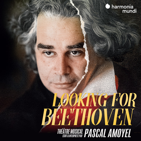 Looking for Beethoven